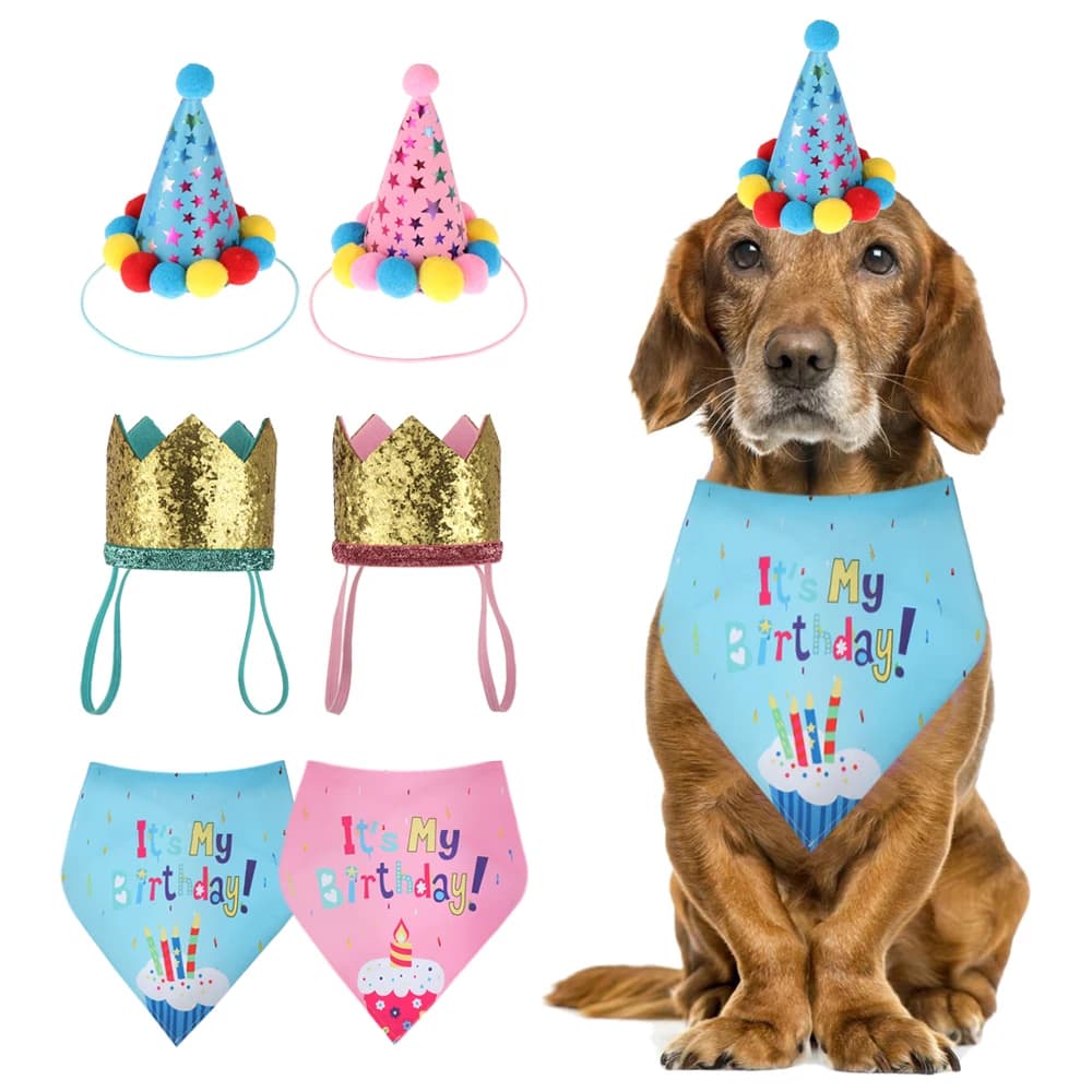 Casquettes d'anniversaire pour animaux de compagnie, conception de bavoirs mignons, vêtements de sauna, écharpe triangulaire, chapeau, collier, costume de chat et de chien, accessoires pour animaux de