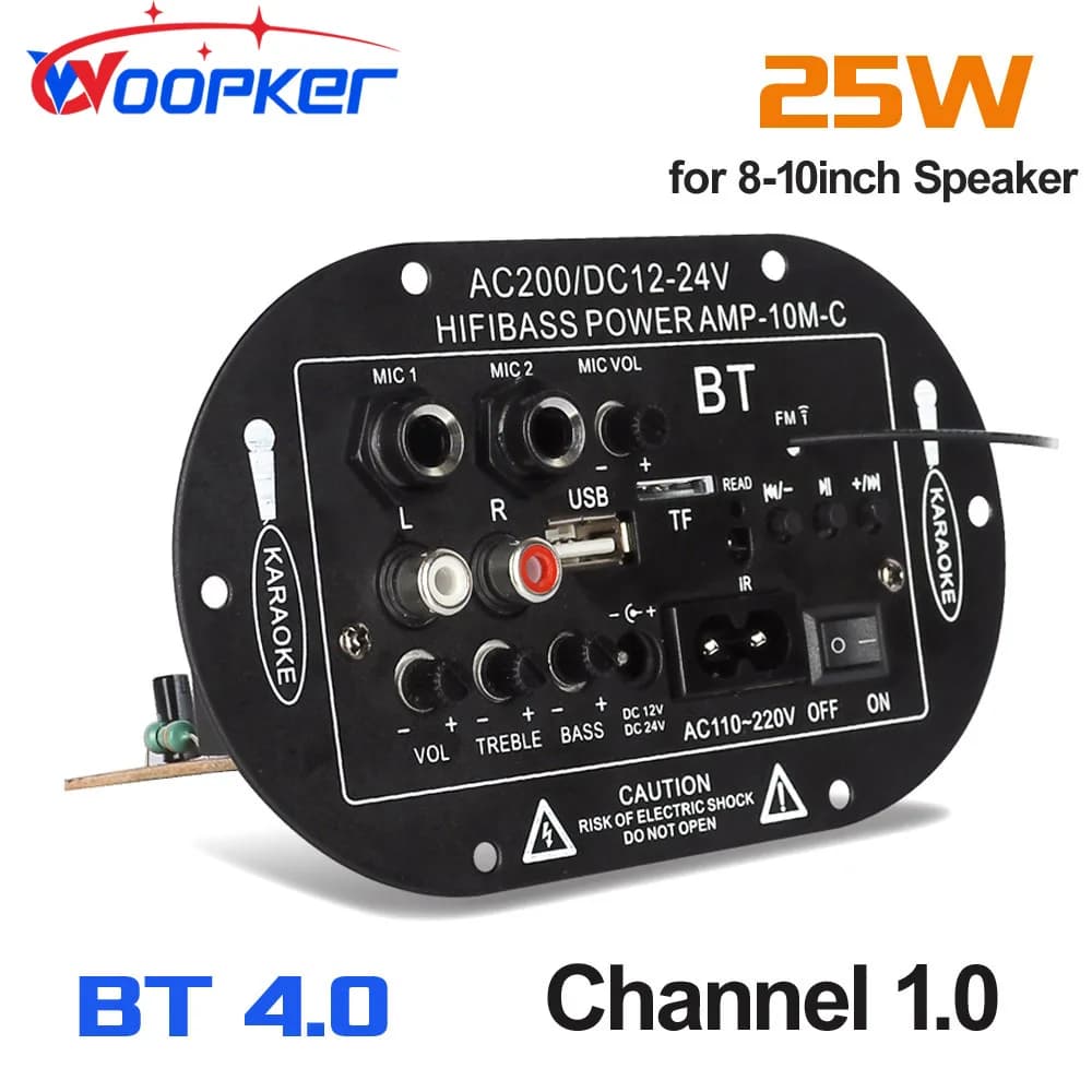 Woopker – carte amplificateur stéréo numérique Bluetooth, caisson de basses, double Microphone karaoké pour haut-parleur de 8 à 10 pouces, 110V 220V 12V 24V