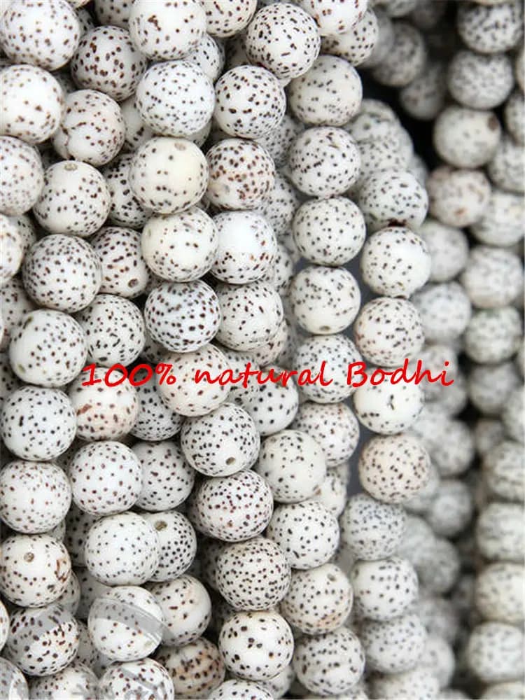 Perles rondes de Bodhi Lotus Étoile et Lune Blanches Naturelles Originales, 108+6 perles par brin, 6mm 8mm 10mm 11mm 12mm TSB0299