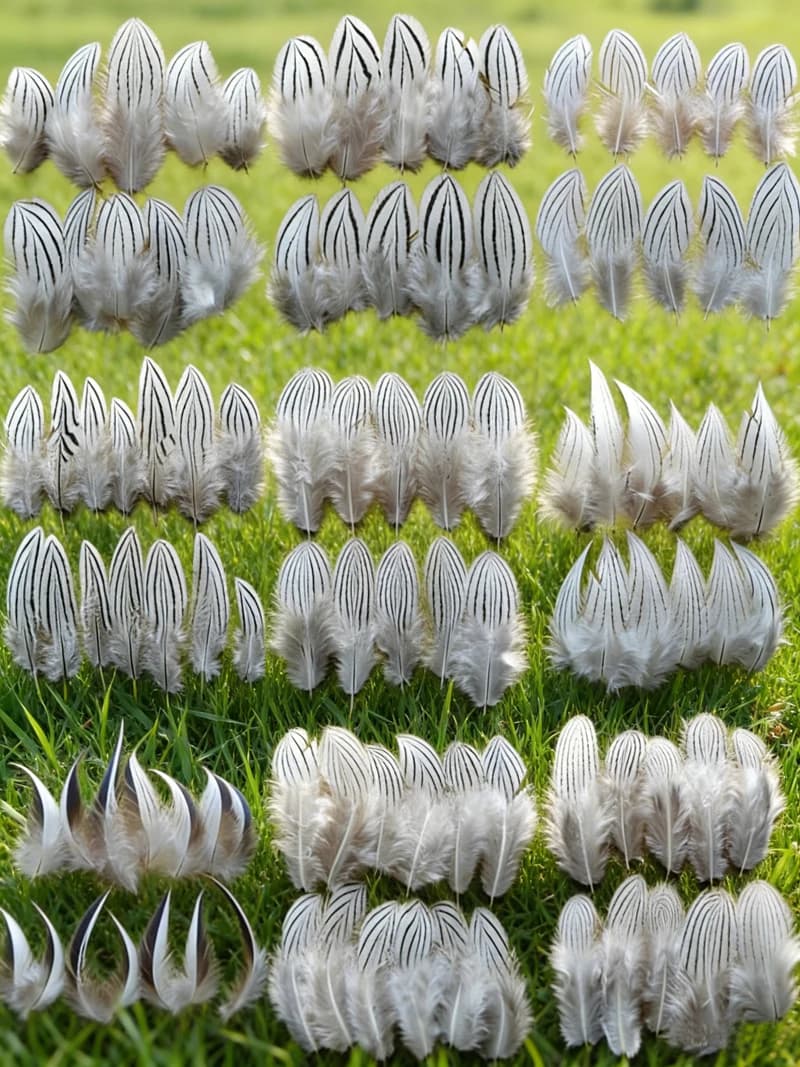 Lot de 50 Plumes Naturelles de 4-12 cm, Plumes de Corps de Faisan Argenté Naturelles Blanches et Noires pour Pêche/Artisanat