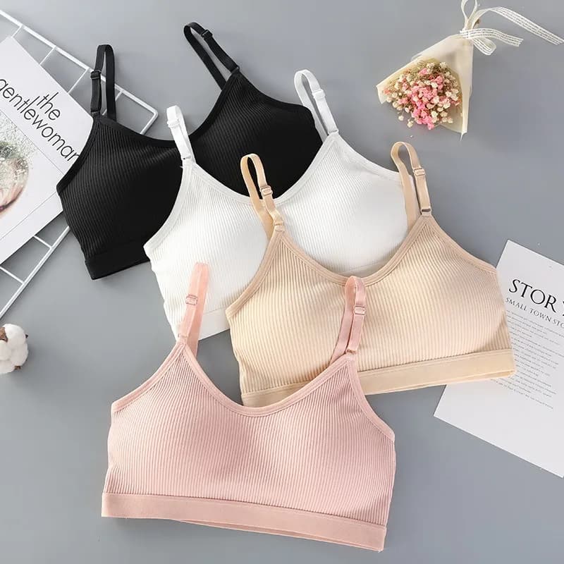 Soutien-gorge rembourré pour femmes, haut tubulaire, sous-vêtements sans armatures, couleur unie, Lingerie Sexy, confort, Bandeau, haut court, bretelles réglables, intimes
