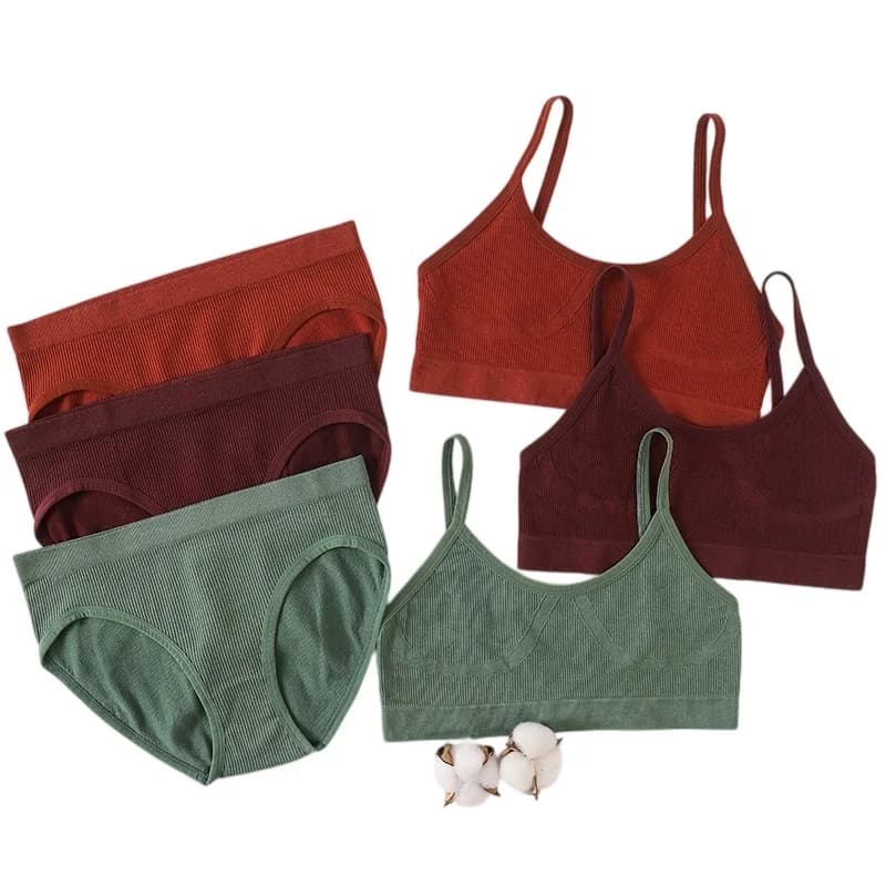 Ensemble de soutien-gorge et de culotte sans coutures pour femmes, soutien-gorge sans armatures, ensemble de lingerie sexy, soutien-gorge à dos en U, haut court, ensemble de sous-vêtements côtelés