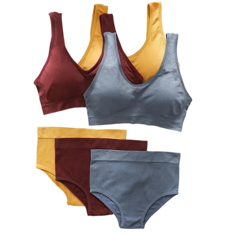 Ensemble de soutien-gorge et de culotte sans coutures pour femmes, soutien-gorge à bretelles rembourrées, culotte taille haute, ensemble de lingerie décontractée à fines côtes, ensemble de