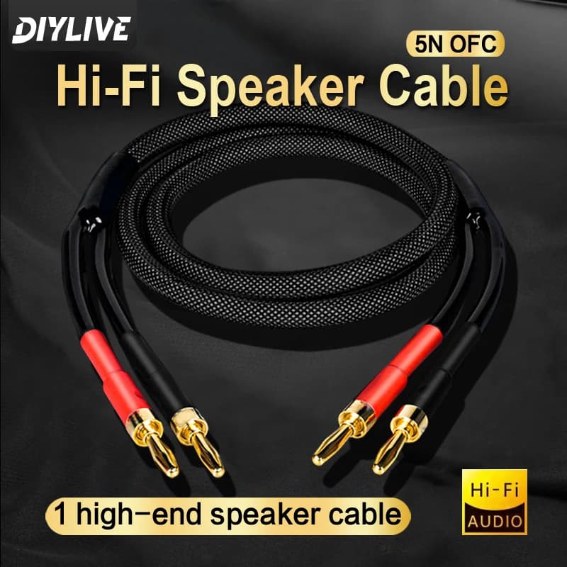 Câble de haut-parleur HIFI en cuivre de haute pureté 5N OFC DIYLIVE pour connexion latérale de l'amplificateur de puissance du haut-parleur principal, câble audio passif