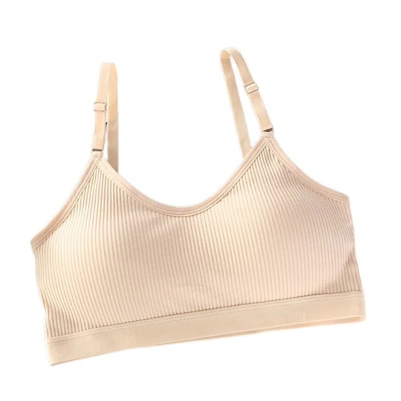 Soutien-gorge rembourré pour femmes, haut tubulaire, sous-vêtements sans armatures, couleur unie, Lingerie Sexy, confort, Bandeau, haut court, bretelles réglables, intimes