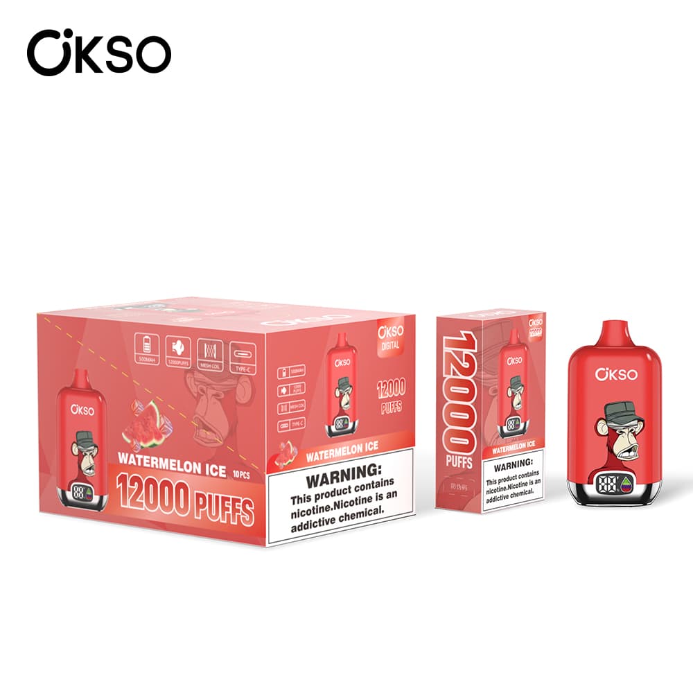 (Mise à niveau du produit ELF BOX 12 000 bouffées - 28 saveurs) Cigarette électronique jetable OKSO Digital 500 mAh, 12 000 bouffées, saveur fr