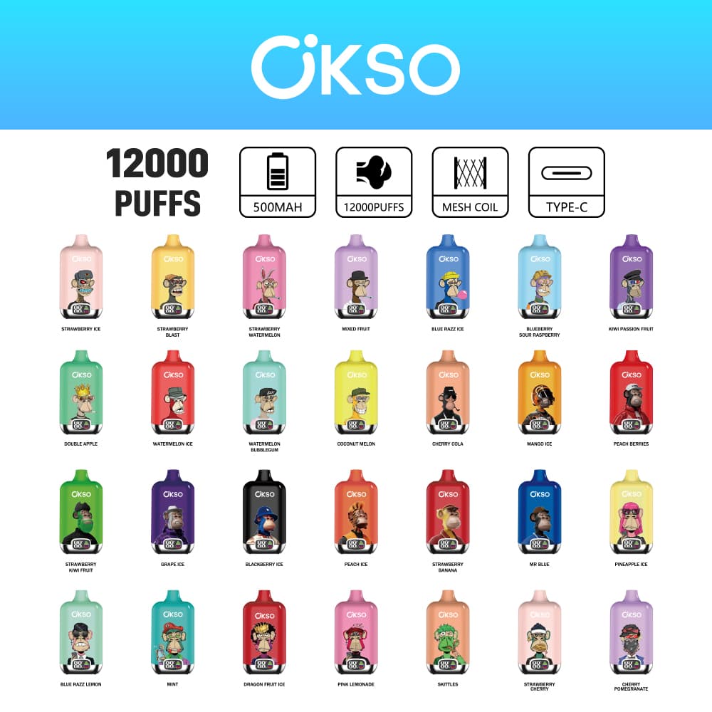 (Mise à niveau du produit ELF BOX 12 000 bouffées - 28 saveurs) Cigarette électronique jetable OKSO Digital 500 mAh, 12 000 bouffées, saveur fr