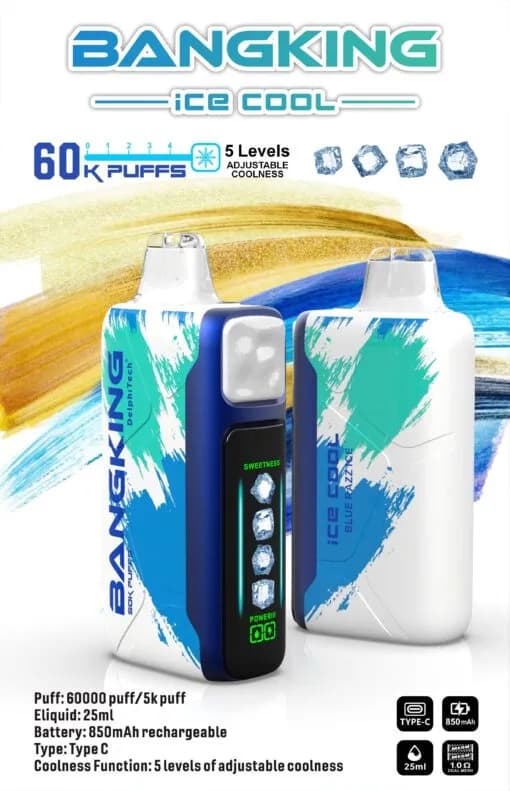 Lot de 2 cigarettes électroniques jetables Bang King 60K (60 000 bouffées) Ice Cool, réglables, 2 % de nicotine