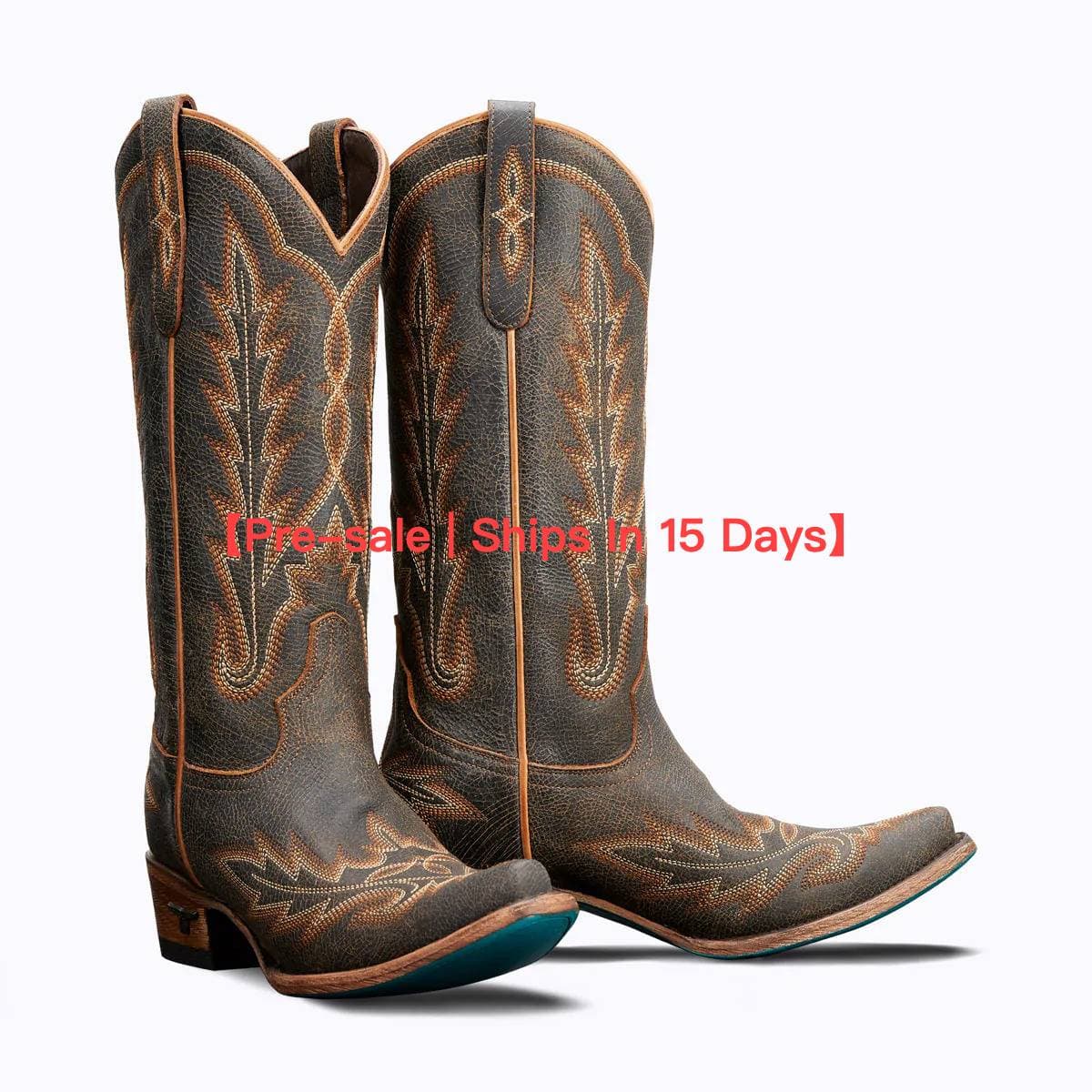【Pre-sale | Ships In 15 Days】Vintage Pointy Boots With Chunky Heels