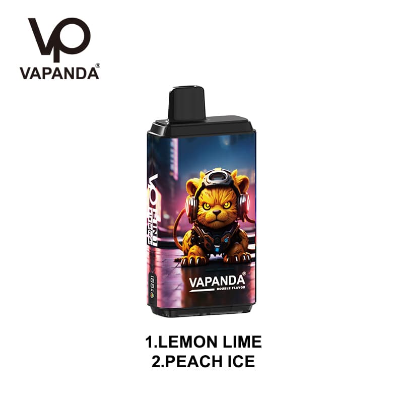 Vapanda 2 en 1 80K Vape jetable - 80 000 bouffées, double saveur interchangeable