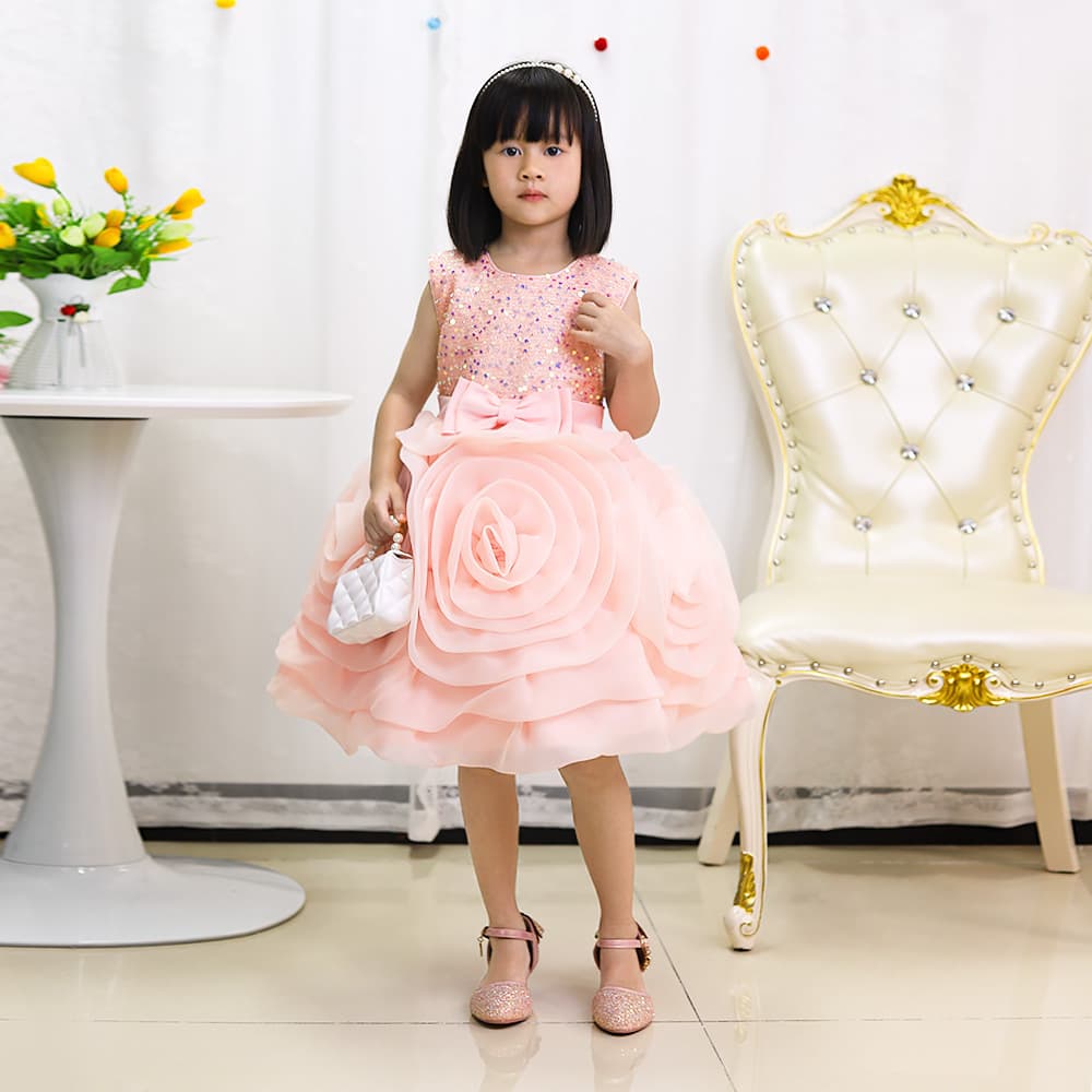 Kid's Clothing Girls Dress Princess Dress Hem Three Dimensional Flower Puffy Dress Children's Sleeveless Piano Performance Dress
