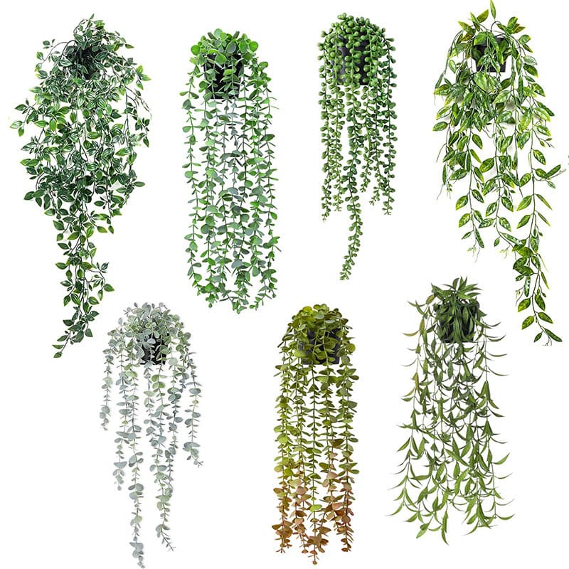 Plants Mandala Eucalyptus Leaves Vine Potted Indoor and Outdoor Decoration