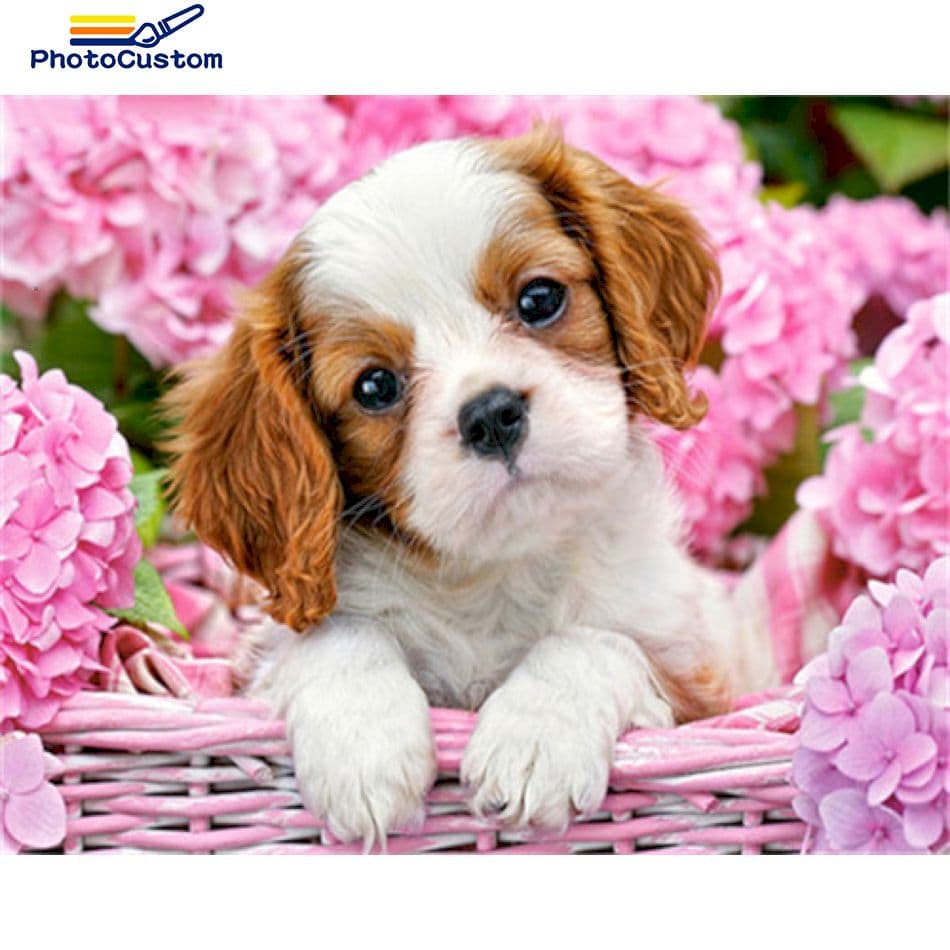 PhotoCustom 5d Diamond Painting Full Square/Round Drill Diamond Embroidery Cute Dog Animals Home Art Decoration