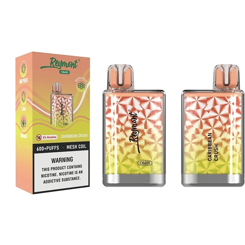CB600 PUFF saveur Portable élégant haute qualité e-électronique c igarette Vape E-liquide V aporizer Pod système inclure de la Nicotine