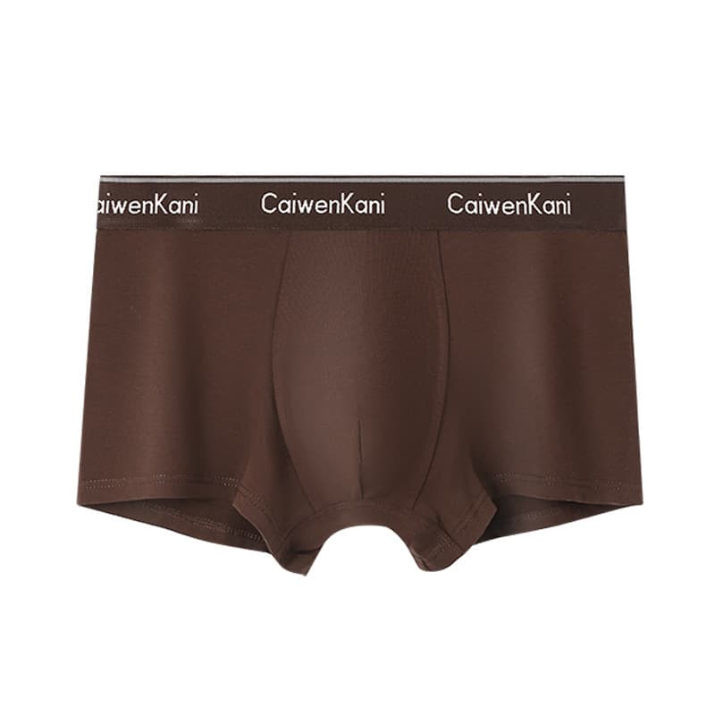 Boxer pour homme en coton respirant et modal, short d'été fin pour garçon
