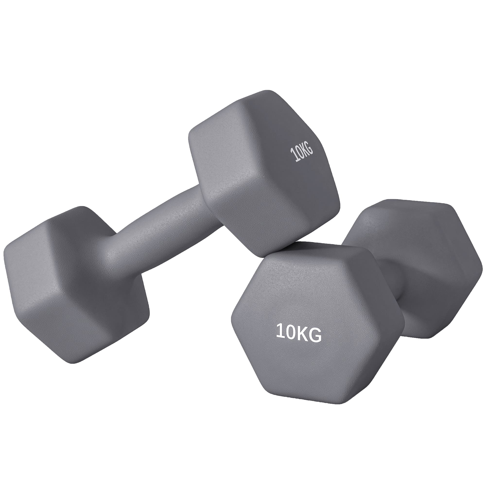 SPORTNOW Set 2 Haltères Hexagonaux de 2x10 kg en Métal et Plastique avec Poignée Antidérapante, 26x12x12 cm, Gris