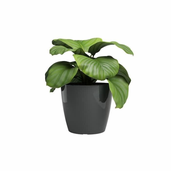 Pot de fleur SAN REMO - Plastique - Anthracite brillant - Rond - 36 x 36 x 33,5 cm - ARTEVASI