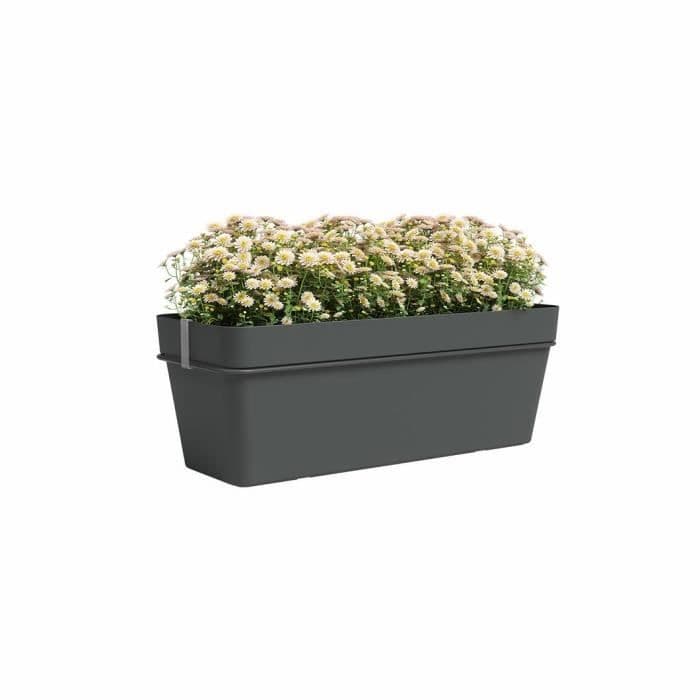 Jardiniere balcon CAPRI RE - Plastique - Anthracite - Rectangulaire - 50,2 x 28,5 x h20 cm - ARTEVASI