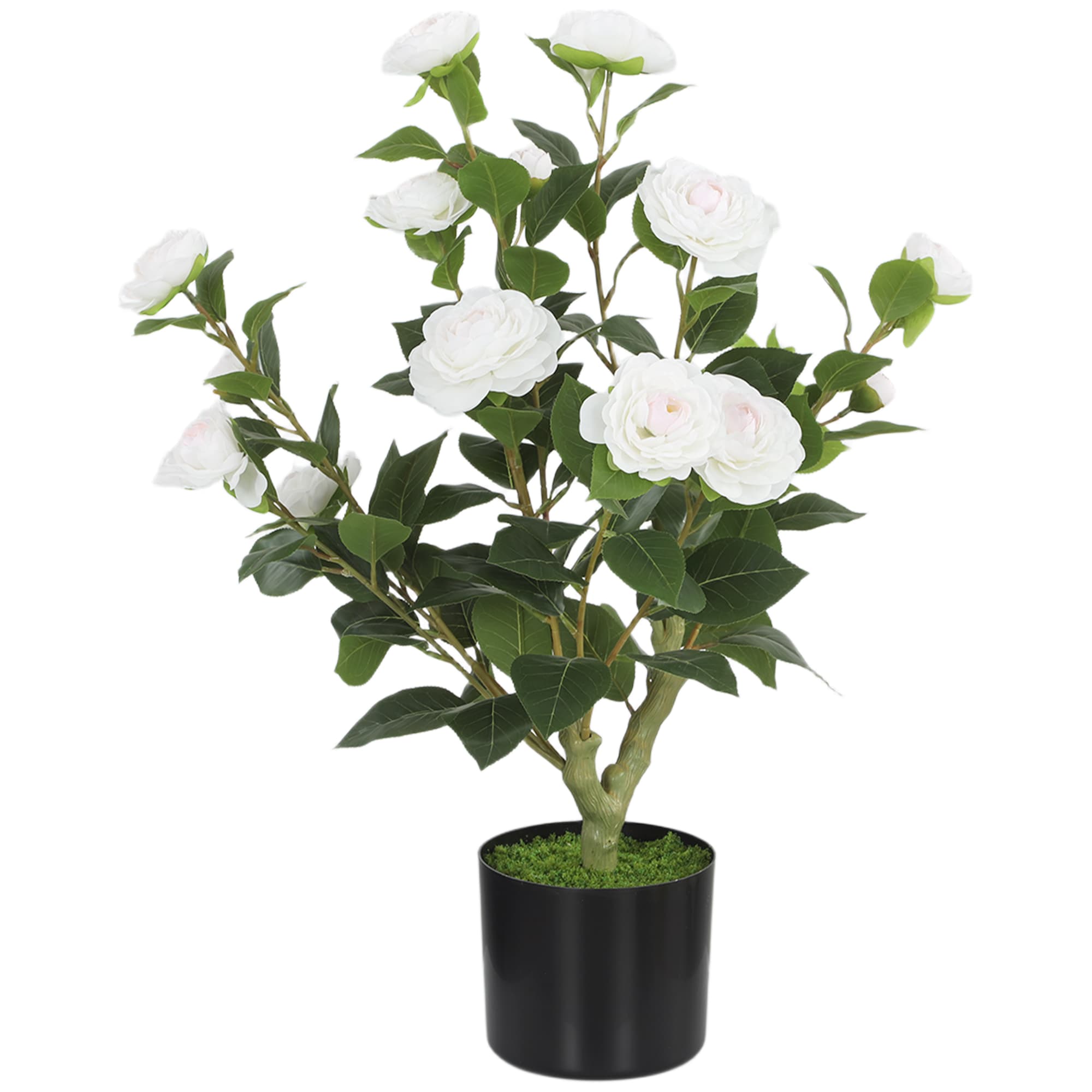 HOMCOM Plante artificielle Camelia 65cm Arbre artificiel en pot avec fleurs en soie réalistes 116 feuilles Effet Musgo Blanco