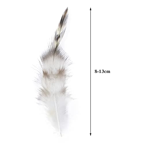 URFEDA Plumes de Faisan, NettoyéEs Professionnellement 8-13cm Plume Artificielle Plumes de Faisan 100pcs Naturelles Plumes Faisan Paquet de 100 Plume de Faisan Naturelle Rouge