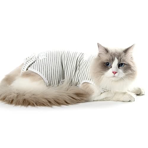 Dotoner Combinaison de Convalescence Professionnelle pour Chat - Chemise de Convalescence chirurgicale pour plaies Abdominales, Bandages, collerette vétérinaire (M, Gris)