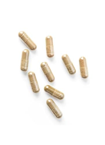 Hericium Erinaceus BIO | Champignon de la Mémoire | Hautement Dosé, 37% Polysaccharides | 120 gélules vegan | Lion’s Mane, Vegan, Sans Additifs | Qualité Supérieure | Fabriqué en France