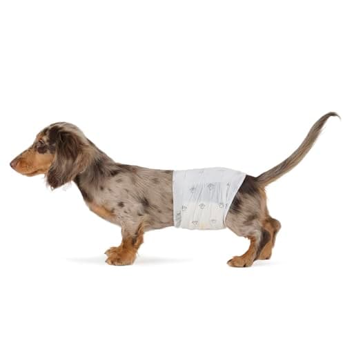 Amazon Basics Lot de 30 Couches jetables pour Chien mâle, Taille S, Blanc