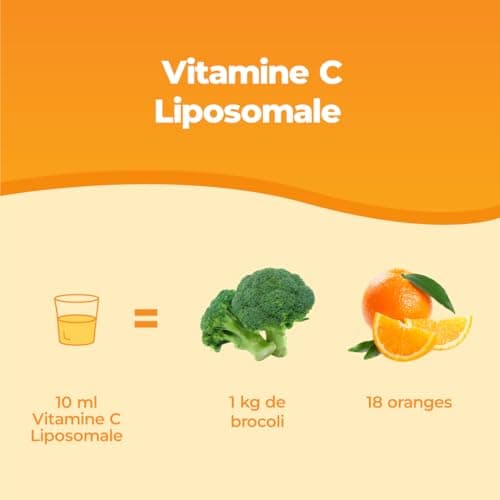 Bandini® Vitamine C Liposomale 1000 mg - Complément Liquide 250 ml - Dosage Puissant et Absorption Maximale - Système Immunitaire & Fatigue - 100% Vit C Acide Ascorbique Biodisponible - Vegan, Non-GMO