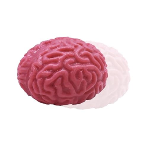 Balle de Cerveau À Presser, Balles Anti-Stress Cérébrales Spongieuses, Jouet À Presser Le Cerveau Humain pour Soulager Le Stress, Jouet de Cerveau Humain en Latex, Jouet de Faux Cerveau