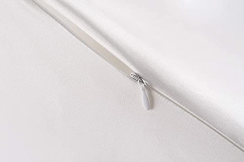 Taie d'oreiller en Soie pour Oreiller 100% Soie 22 Mommes Certifiée Oeko-TEX® Bienfaits Cheveux et Peau Anti Âge, Anti Acarien(65x65cm, White)