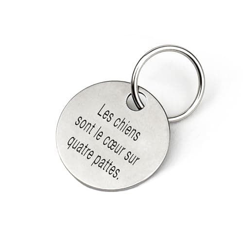 Médaille chien gravée personnalisée | nom, numéro de téléphone, écriture manuscrite, patte, cœur, les deux côtés | Étiquette de chien et chat en acier inoxydable de, pendentif nom, 23 mm