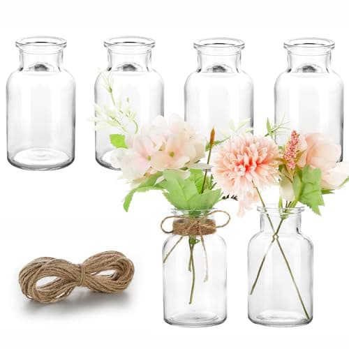 Lannvan 6 Mini Vases en Verre - Petits Vases pour Decoratifs de Table Mariage - Vases Décoratifs avec Ficelle - Mini Vase en Verre pour Décorations de Table Moderne - Lave Vaisselle - 130ml