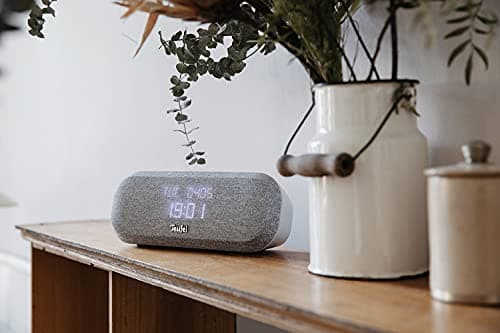 Teufel Radio One Radio-réveil HiFi et Enceinte Bluetooth, Radio Dab+/FM, Ecran d’Affichage dimmable (Light Gray)
