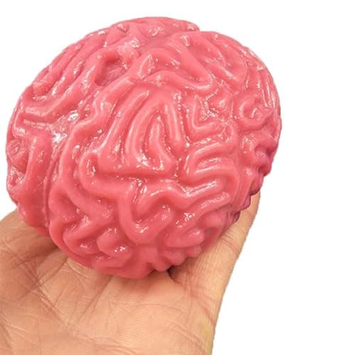 Balle de Cerveau À Presser, Balles Anti-Stress Cérébrales Spongieuses, Jouet À Presser Le Cerveau Humain pour Soulager Le Stress, Jouet de Cerveau Humain en Latex, Jouet de Faux Cerveau