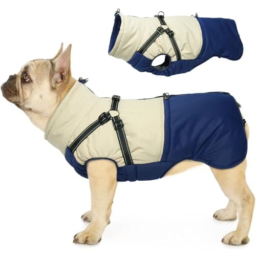 Hjumarayan Manteau Chien - Manteaux d'hiver pour Chiens Manteau Imperméable Chien Veste Chien, Manteau Chien avec Harnais Manteau Chien Petite Taille Manteau Yorkshire Jack Russel, Bleu Marine M