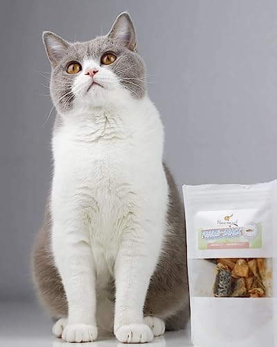 I Love My Cat Freeze-Snack pour Les Chats, des Filets de Saumon (lyophilisés) de 25 g, des friandises saines pour Les Chats, sans additifs artificiels