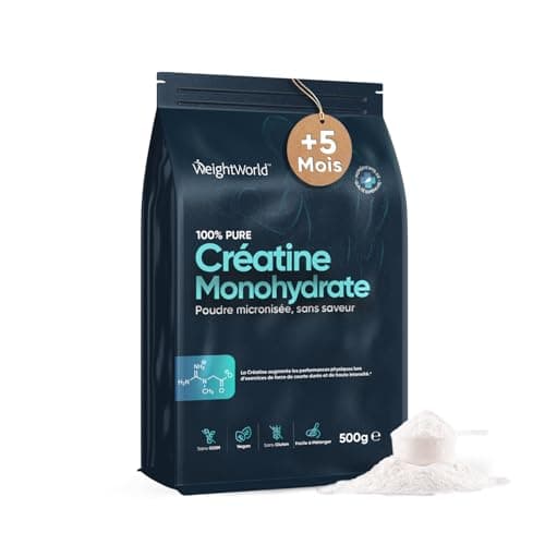 Créatine Monohydrate en Poudre 500g - Créatine Monohydrate Micronisée 165 Portions