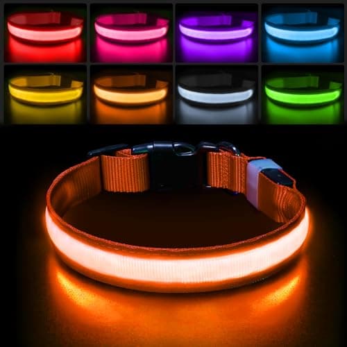 PcEoTllar Collier Lumineux Chien, Collier Chien LED Rechargeable et Etanche Clignotant, Collier Chien Fluorescent avec 7 Couleurs, Sécurité avec Réglable pour Petits Moyens Gros Chiens, Orange-M