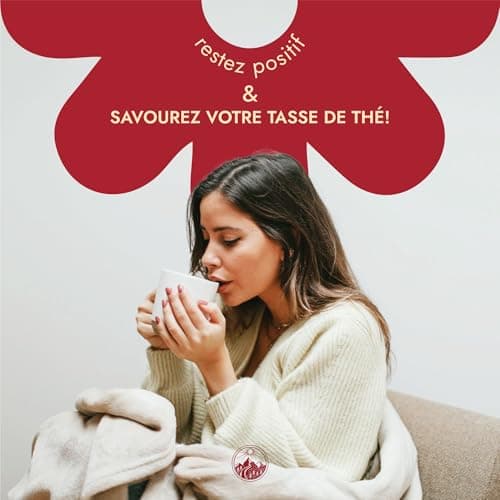 Thé Hibiscus d'Alpi Nature, 120 Sachets de Thé à l'Hibiscus, 120g (6 Boîtes de 20 Sachets de Thé de 1g), Fleurs d'Hibiscus Séchées pour Préparer des Tisanes et du The Hibiscus, Hibiscus Seche