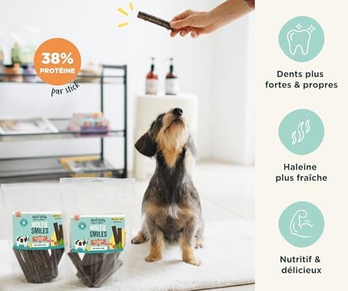 Wolf Belly - Friandises pour Chien Naturel (28 unités) 89% Bœuf et Origan sans Céréales | Hygiène Bucco-Dentaire & Haleine Fraîche | Stick Chien Riche en Protéines | Goût Irrésistible