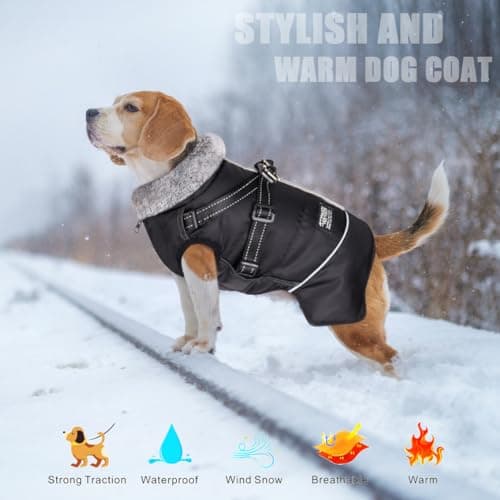 Oslueidy Chaud Chien Manteau, Veste d'animaux de Compagnie d'hiver Vêtements de Petits Chiens réfléchis Veste à Coupe-Vent Tenue de Chiens avec Harnais pour Les Petits Chiens de Taille Moyenne