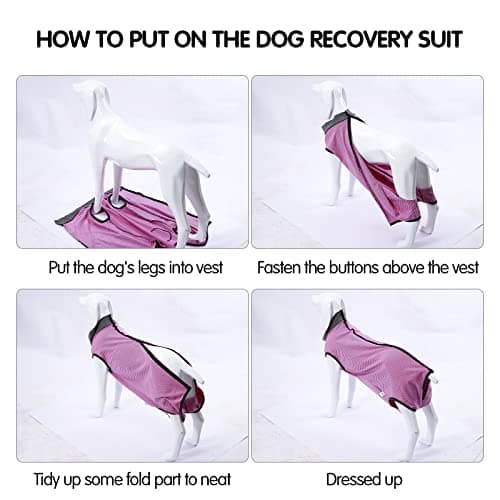 HEYWEAN Body Chien Post operatoire Femelle Combinaison Chien sterilisation Body pour Chien Castration Male Body Medical Déguisements pour Chiens alternatives aux Collerettes pour Chiens