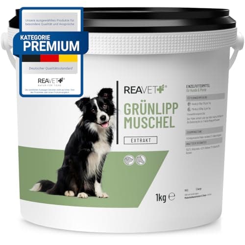 ReaVET concentré Poudre de moules à lèvres Vertes Chien 1 kg, Poudre de moules à lèvres Vertes Chien Cheval, moules à lèvres Vertes après arthrose traitée