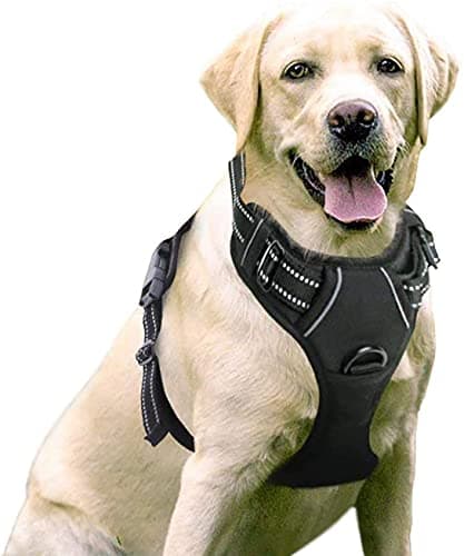 rabbitgoo Harnais Chien Anti Traction, Arnet pour Chien Facile à Mettre Harnais Réfléchissant Réglable avec Attache Devant Harnais pour Chien Moyen, Large, Couleur Noir