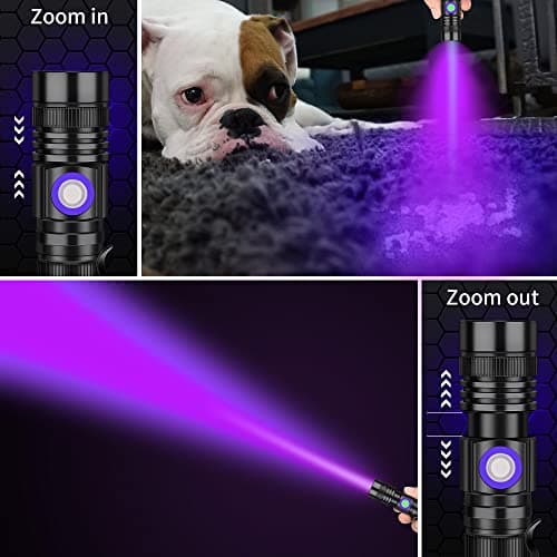 DARKBEAM Lampe Torche UV Lamp Lumière Noire 395nm rechargeable Wood's lampe, Blacklight Ultraviolet Portable Mini Torch LED avec clip, Détecteur d'urine pour animaux, Durcissement de résine, Lot de 2