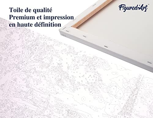 Figured'Art Peinture par Numéro Adulte avec Cadre Visite du canal de Venise - Activité Manuelle Kit de Loisir Créatif DIY Numéro d'Art Complet - 40x50cm toile tendue sur châssis