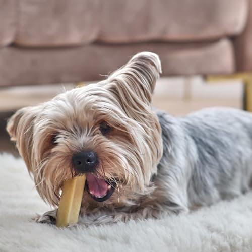 Dilecti Friandises Naturelles à Mâcher de l'Himalaya - des Friandises à Mâcher Naturelles très Savoureuses, Dures et Durables Occuperont Votre Chien Pendant Un Certain Temps. (Taille S, Lot de 5)