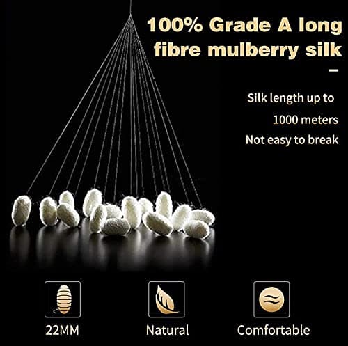 Taie d'oreiller en Soie pour Oreiller 100% Soie 22 Mommes Certifiée Oeko-TEX® Bienfaits Cheveux et Peau Anti Âge, Anti Acarien(65x65cm, White)