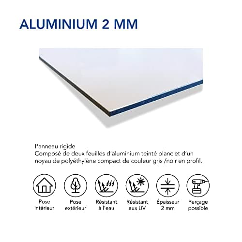 Panneau Propriété Privée Défense D'Entrer Aluminium 2 Mm - Diam. 250 Mm Signalisation Prépercée Avec Kit De Fixation Fabrication Française