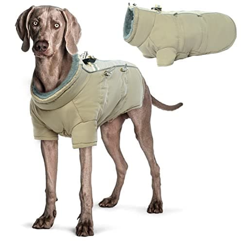 Manteau Chien Imperméable, Manteau pour Chien, Manteau Chien avec Fermeture à Glissière, Manteau Chien Hiver, Manteaux d'hiver pour Chiens, Pull pour ChienPour Chiens de Petite, Moyenne et Grande L